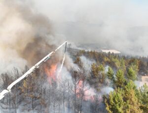 Antalya Alevlerle Mücadele Etti: 8 İlçede Çıkan Yangınlar Kontrol Altına Alındı