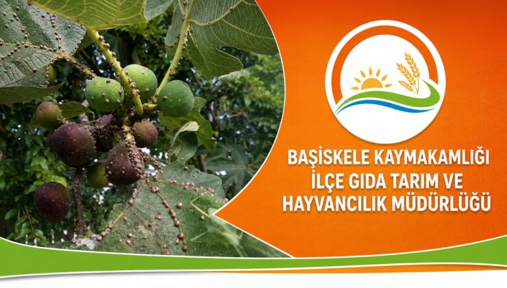 Başiskele İlçe Tarım Müdürlüğü’nden çiftçilere Kanlı Balısra uyarısı