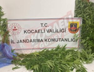 Başiskele Jandarma’dan Uyuşturucuya Geçit Yok