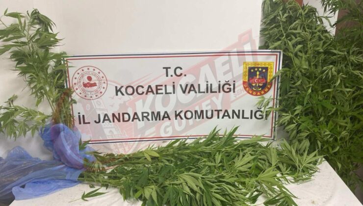 Başiskele Jandarma’dan Uyuşturucuya Geçit Yok