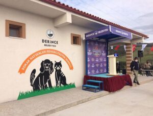 Derince Belediyesi’nde Darp İddiası: Görev Yeri Değiştirildiğini Öne Sürdü