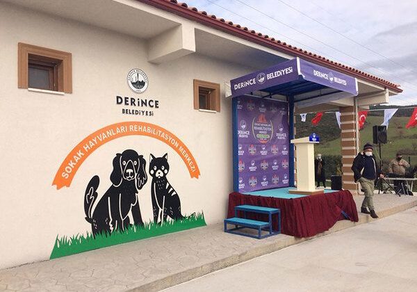 Derince Belediyesi’nde Darp İddiası: Görev Yeri Değiştirildiğini Öne Sürdü