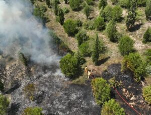 Dilovası OSB Yakınlarındaki Orman Yangınında 10 Hektarlık Alan Zarar Gördü