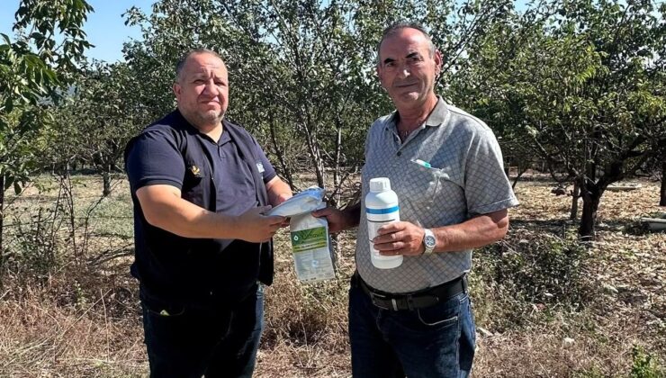 Dolu Zararına Uğrayan Meyve Üreticilerine Kocaeli Büyükşehir’den Destek