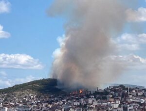 Gebze Beylikdağı’nda Orman Yangını