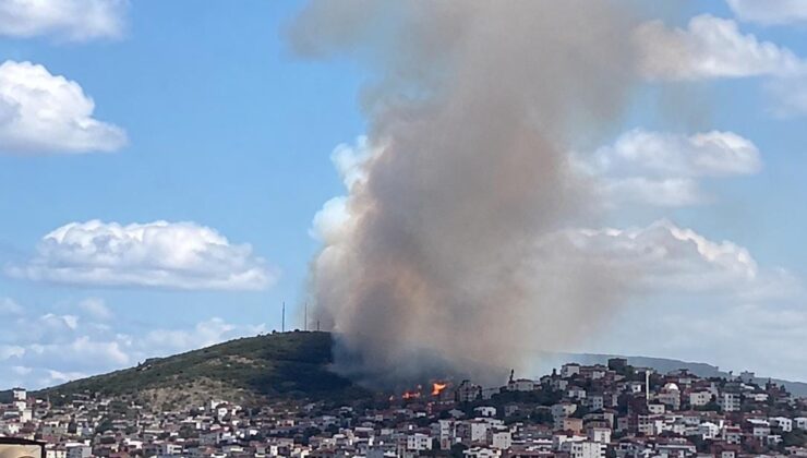 Gebze Beylikdağı’nda Orman Yangını