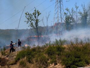 Yavuz Sultan Selim’de ot yangını: İtfaiye seferber oldu