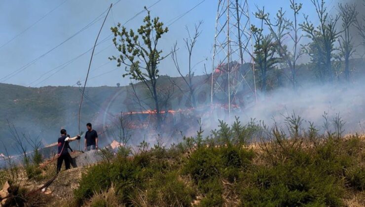 Yavuz Sultan Selim’de ot yangını: İtfaiye seferber oldu