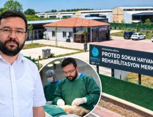 Başiskele’de Dikkat Çeken Müdür: Hem Temizlikte Hem Sokak Hayvanlarının Yanında