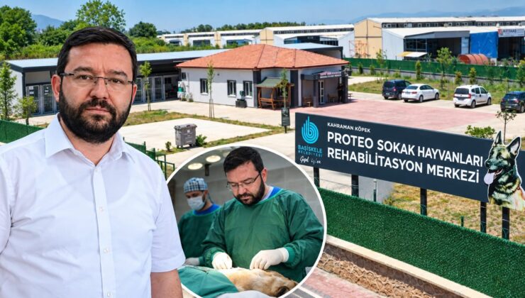Başiskele’de Dikkat Çeken Müdür: Hem Temizlikte Hem Sokak Hayvanlarının Yanında