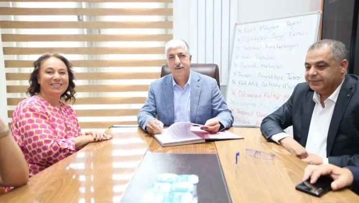 Dilovası’nda sokak hayvanları için yeni işbirliği