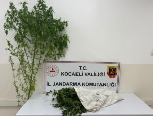 Kartepe’de jandarmadan uyuşturucu operasyonu