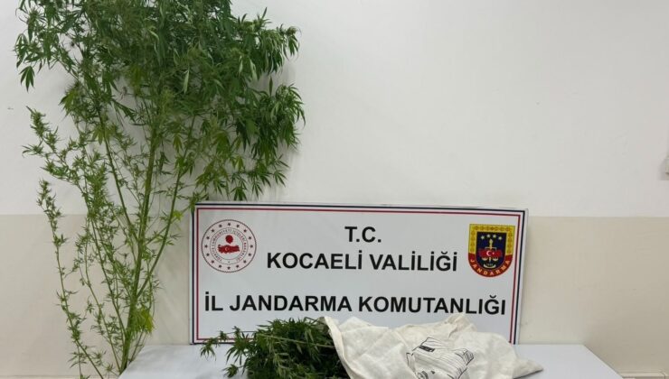 Kartepe’de jandarmadan uyuşturucu operasyonu
