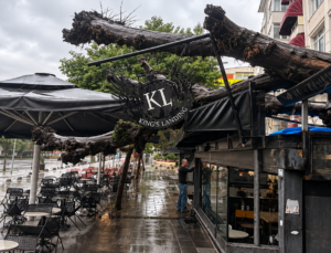 İzmit Yeni Cuma’da Facianın Eşiğinden Dönüldü:Dev Ağaç Kafenin Üzerine Devrildi