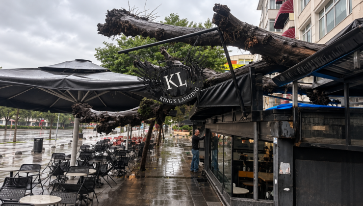 İzmit Yeni Cuma’da Facianın Eşiğinden Dönüldü:Dev Ağaç Kafenin Üzerine Devrildi