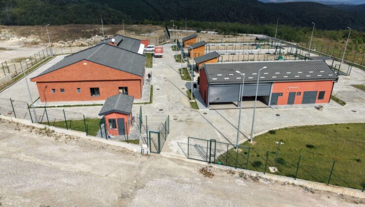 İzmit’te Dost Pati Yaşam Alanı’nda sona gelindi