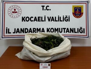 Kocaeli’de Uyuşturucu Operasyonu: 7 Şüpheli Gözaltında!